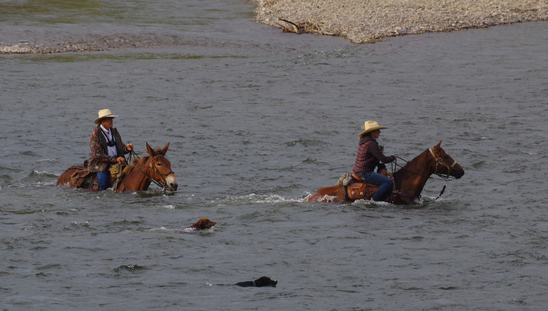 Crossing the Salmon